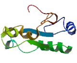 Phosphatase, Orphan 1 (PHOSPHO1)