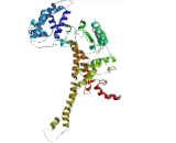 Phosphatase And Actin Regulator 1 (PHACTR1)