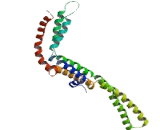 Phosphatase And Actin Regulator 3 (PHACTR3)