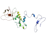 Phosphatase And Actin Regulator 4 (PHACTR4)