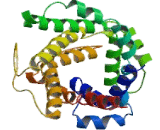 Phosphate Carrier Protein, Mitochondrial (PHC)