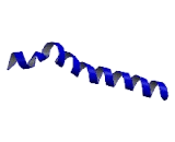 Phosphate Cytidylyltransferase 1, Choline Alpha (PCYT1a)