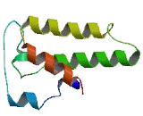 Phosphatidic Acid Phosphatase Type 2 Domain Containing Protein 3 (PPAPDC3)