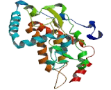 Phosphatidic Acid Phosphatase Type 2A (PPAP2A)