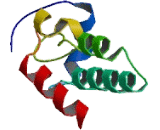 Phosphatidic Acid Phosphatase Type 2B (PPAP2B)