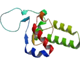 Phosphatidic Acid Phosphatase Type 2C (PPAP2C)