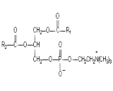 Phosphatidylcholine (PC)