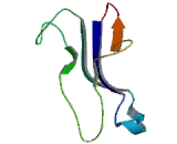 Phosphatidylethanolamine Binding Protein 4 (PEBP4)