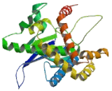 Phosphatidylinositol-4-Kinase Catalytic Beta (PI4Kb)