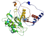 Phosphatidylinositol-4-Kinase Type 2 Alpha (PI4K2a)