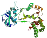 Phosphatidylinositol-4-Kinase Type 2 Beta (PI4K2b)