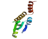 Phosphatidylinositol Glycan A (PIGA)