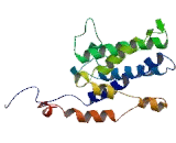 Phosphatidylinositol Glycan B (PIGB)