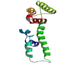 Phosphatidylinositol Glycan C (PIGC)