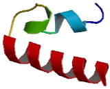 Phosphatidylinositol Glycan H (PIGH)