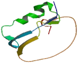 Phosphatidylinositol Glycan K (PIGK)