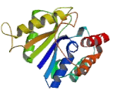 Phosphatidylinositol Glycan L (PIGL)