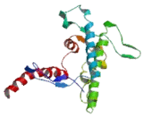 Phosphatidylinositol Glycan M (PIGM)