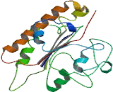 Phosphatidylinositol Glycan N (PIGN)