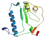 Phosphatidylinositol Glycan O (PIGO)