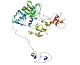 Phosphatidylinositol Glycan T (PIGT)