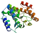 Phosphatidylinositol Glycan U (PIGU)