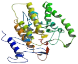 Phosphatidylinositol Glycan X (PIGX)