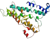 Phosphatidylinositol Glycan Z (PIGZ)