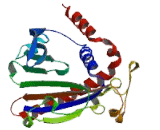 Phosphatidylinositol Transfer Protein, Cytoplasmic 1 (PITPNC1)