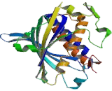 Phosphatidylinositol Transfer Protein, Membrane Associated 1 (PITPNM1)