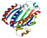 Phosphatidylinositol Transfer Protein Alpha (PITPNa)