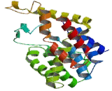 Phosphodiesterase 10A (PDE10A)