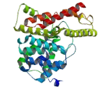 Phosphodiesterase 11A (PDE11A)