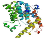 Phosphodiesterase 2A, cGMP Stimulated (PDE2A)