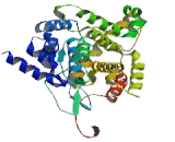 Phosphodiesterase 3A, cGMP Inhibited (PDE3A)