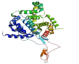 Phosphodiesterase 3B, cGMP Inhibited (PDE3B)