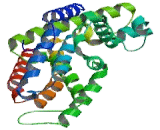 Phosphodiesterase 4A, cAMP Specific (PDE4A)