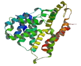 Phosphodiesterase 4D, cAMP Specific (PDE4D)