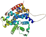 Phosphodiesterase 5A, cGMP Specific (PDE5A)