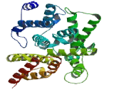 Phosphodiesterase 6B, cGMP Specific (PDE6B)