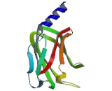 Phosphodiesterase 6D, cGMP Specific (PDE6D)