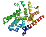 Phosphodiesterase 7A (PDE7A)