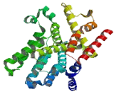 Phosphodiesterase 7B (PDE7B)