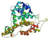 Phosphodiesterase 8B (PDE8B)