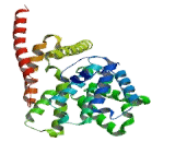 Phosphodiesterase 9A (PDE9A)