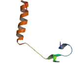 Phosphofurin Acidic Cluster Sorting Protein 2 (PACS2)