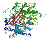 Phosphoglucomutase 2 Like Protein 1 (PGM2L1)