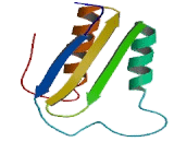 Phosphoglucomutase 3 (PGM3)