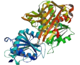 Phosphoglucomutase 5 (PGM5)