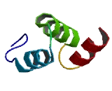 Phosphoglycerate Dehydrogenase Like Protein 1 (PHGDHL1)